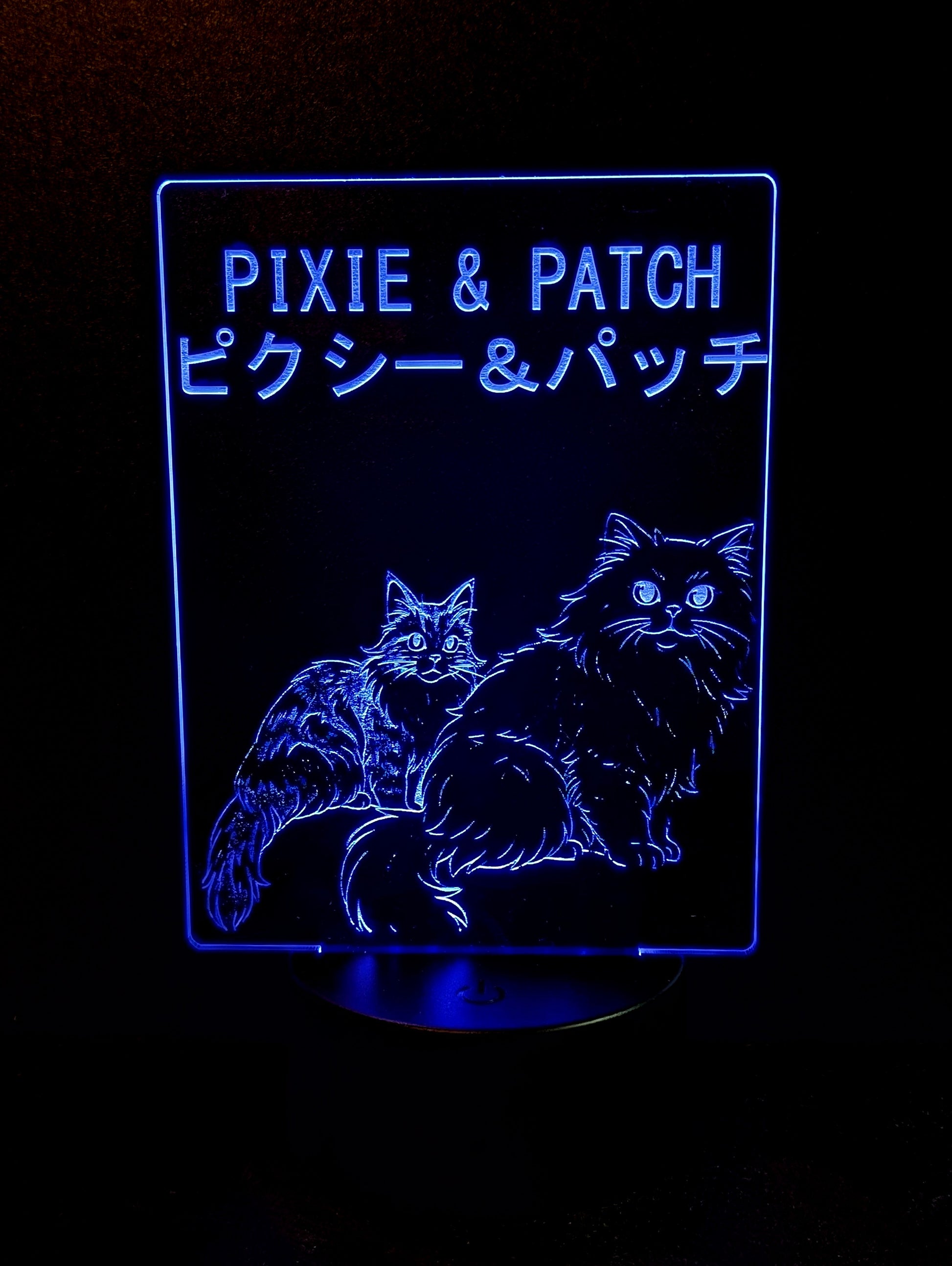 Custom Engraved LED Acrylic Light Sign – Personalized Nightlight or Display